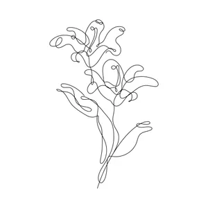 Minimalist_ Line_ Art_ Flower Wallpaper