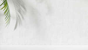 Minimalist Palm Leaf Shadow Wallpaper
