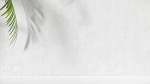 Minimalist Palm Leaf Shadow Wallpaper