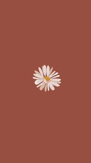 Minimalist Pastel Daisyon Maroon Background Wallpaper