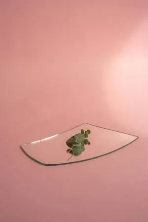 Minimalist Peach Aestheticwith Plant Wallpaper