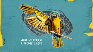 Minimalist Quote Desktop Wallpaper Wallpaper