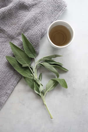 Minimalist Sage Tea Setup.jpg Wallpaper