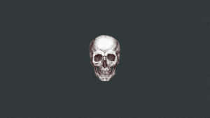 Minimalist_ Skull_ Illustration_ Gray_ Background.jpg Wallpaper