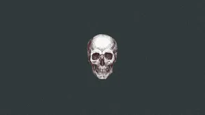 Minimalist_ Skull_ Illustration_ Gray_ Background.jpg Wallpaper