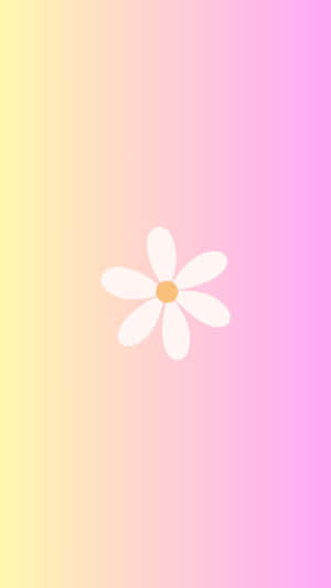 Minimalist Spring Daisy Gradient Background Wallpaper