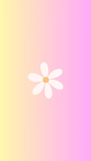 Minimalist Spring Daisy Gradient Background Wallpaper