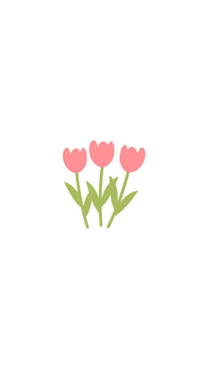 Minimalist Spring Tulips Wallpaper