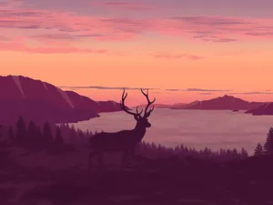 Minimalist Sunset Beauty Wallpaper