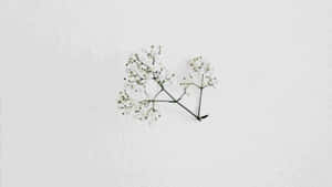 Minimalist White Floral Arrangement Wallpaper