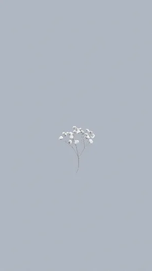 Minimalist White Flowerson Pastel Background Wallpaper