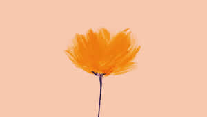 Minimalist Yellow Flower Art.jpg Wallpaper