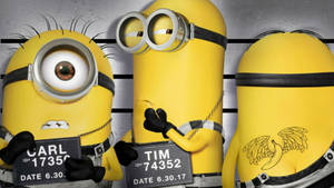 Minions In Jail Wallpaper