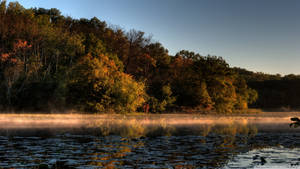 Minnesota Foggy Lake Wallpaper