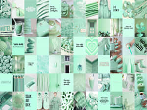 Mint Aesthetic Collage Wallpaper