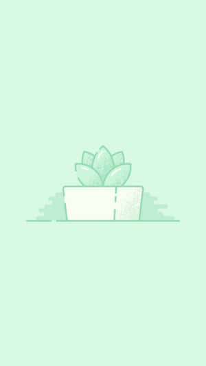 Mint Succulent Illustration Wallpaper Wallpaper