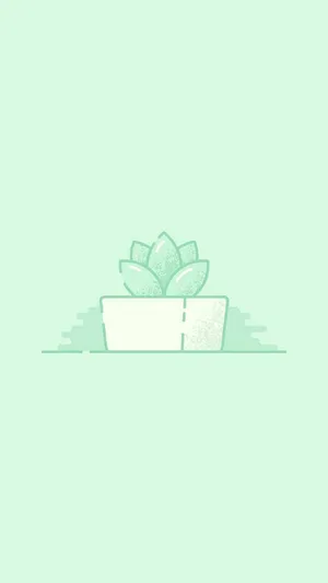 Mint Succulent Illustration Wallpaper Wallpaper