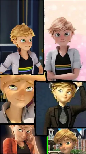 Miraculous Ladybug Adrien Collage Wallpaper