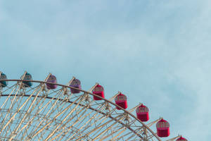 Miramar Ferris Wheel Taipei Wallpaper