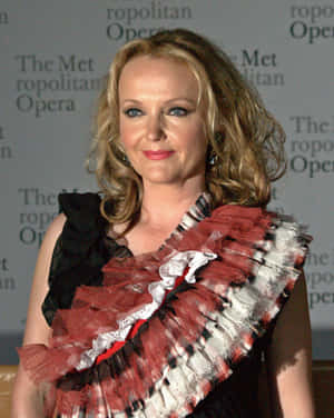 Miranda Richardson Overlooking The Sunset Wallpaper