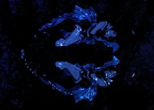 Misao Makimachi In Battle Mode Wallpaper