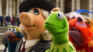 Miss Piggy Kermit Animal And Gonzo Wallpaper