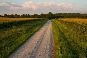 Missouri's Lovely Landscape Wallpaper