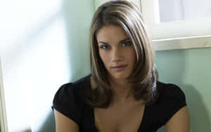 Missy Peregrym Intense Gaze Wallpaper