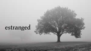 Misty Estranged Tree Wallpaper