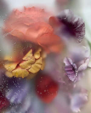 Misty Floral Closeup.jpg Wallpaper
