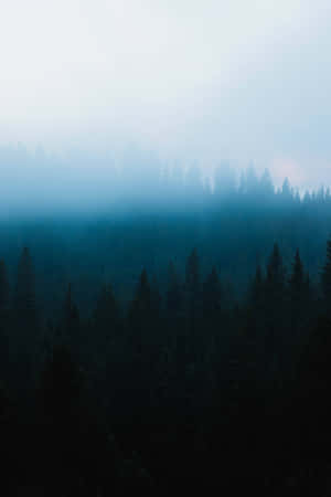 Misty Forest Gradient Wallpaper