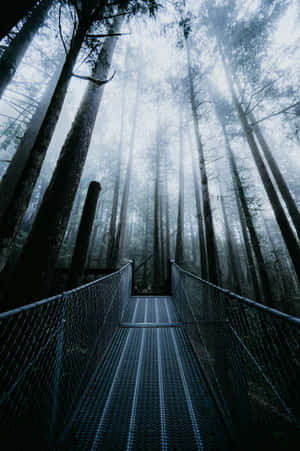 Misty Forest Metal Walkway.jpg Wallpaper