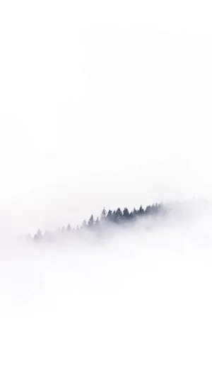 Misty Forest Minimalism Wallpaper