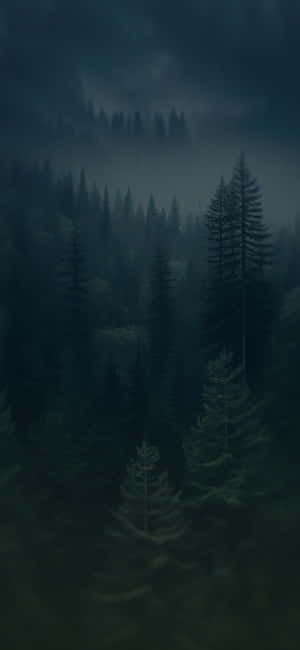 Misty_ Forest_ Night_ Mood.jpg Wallpaper