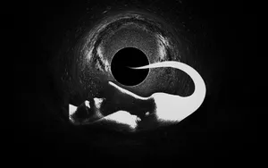 Misty Forest Pathway Wallpaper