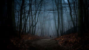 Misty Forest Pathwith Figure Wallpaper