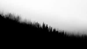 Misty_ Forest_ Silhouette_4 K_ B W Wallpaper