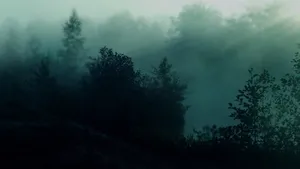 Misty Forest Sunrays_ H D Aesthetic.jpg Wallpaper