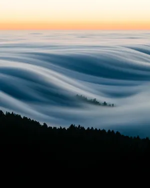 Misty_ Forest_ Waves_at_ Dusk.jpg Wallpaper