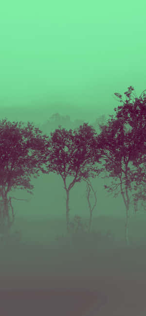 Misty Green Forest Minimalism Wallpaper