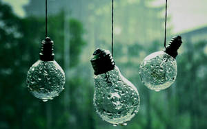 Misty Light Bulbs Wallpaper