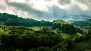 Misty_ Mountain_ Forest_ Sunbeams_4 K Wallpaper