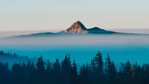 Misty_ Mountain_ Peak_ Dawn Wallpaper