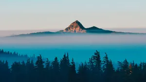 Misty_ Mountain_ Peak_ Dawn Wallpaper