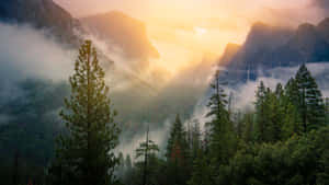 Misty Mountain Sunrise.jpg Wallpaper