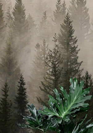 Misty_ Pine_ Forest_ Artwork Wallpaper