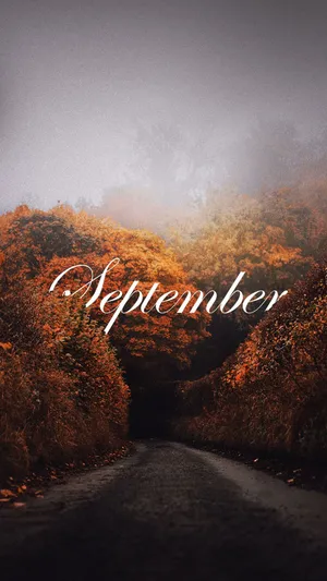 Misty September Fall Road Wallpaper