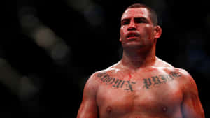 Mixed Martial Artist Cain Velasquez Ufc 146 Wallpaper