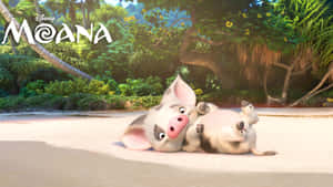 Moana Puathe Pig Beach Fun Wallpaper