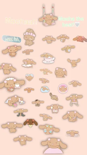 Mocha Sanrio Character Collage Wallpaper